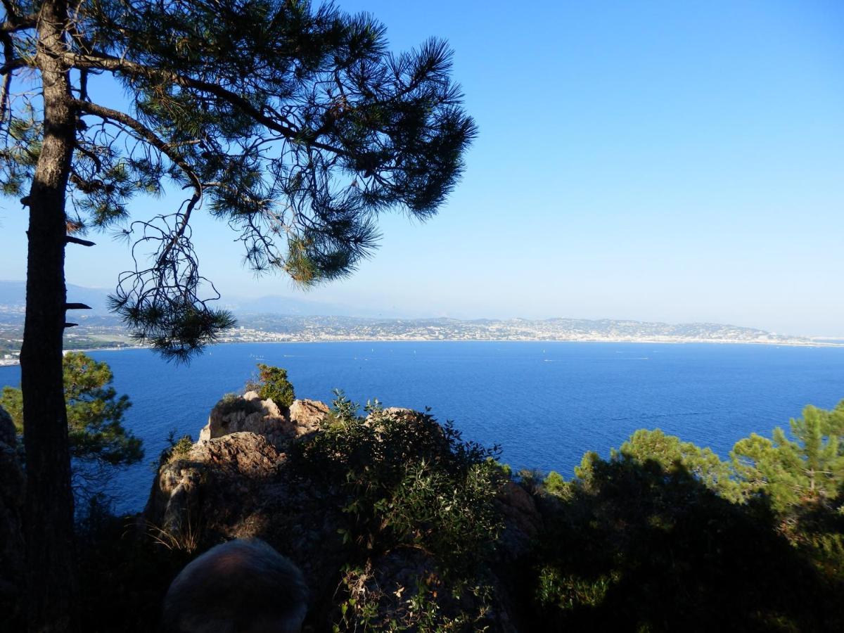 Esterel Terrasses, Roof Top, Plage, Parking Payant Cannes Buitenkant foto