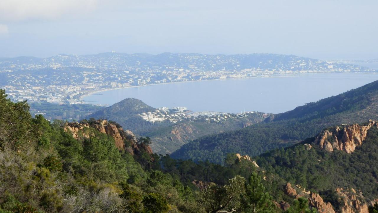 Esterel Terrasses, Roof Top, Plage, Parking Payant Cannes Buitenkant foto